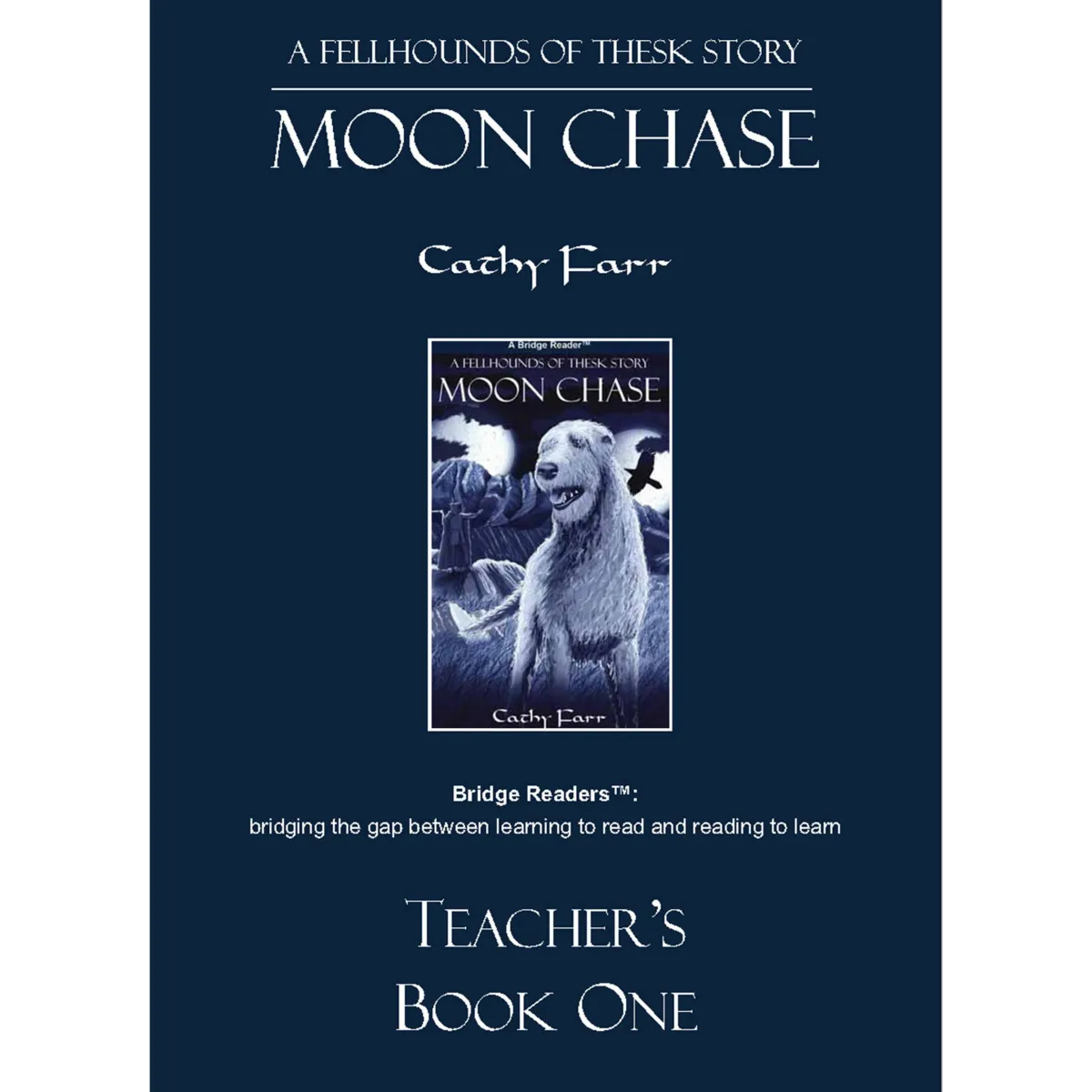 Moon Chase, Teacher's Book