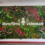 Mur végétal stabilisé