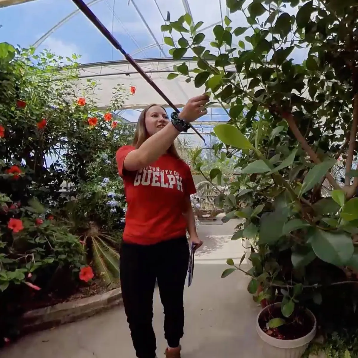 Online Plant Program Information Night