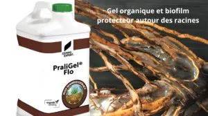 SIVAL Innovation 2024 : COMPO EXPERT France - PraliGel Flo