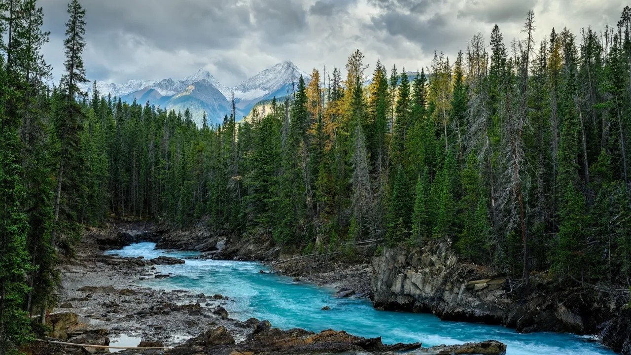 Building Consensus and Partnerships with Indigenous Communities