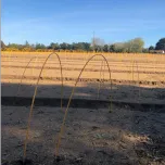Arceaux fibres gainés