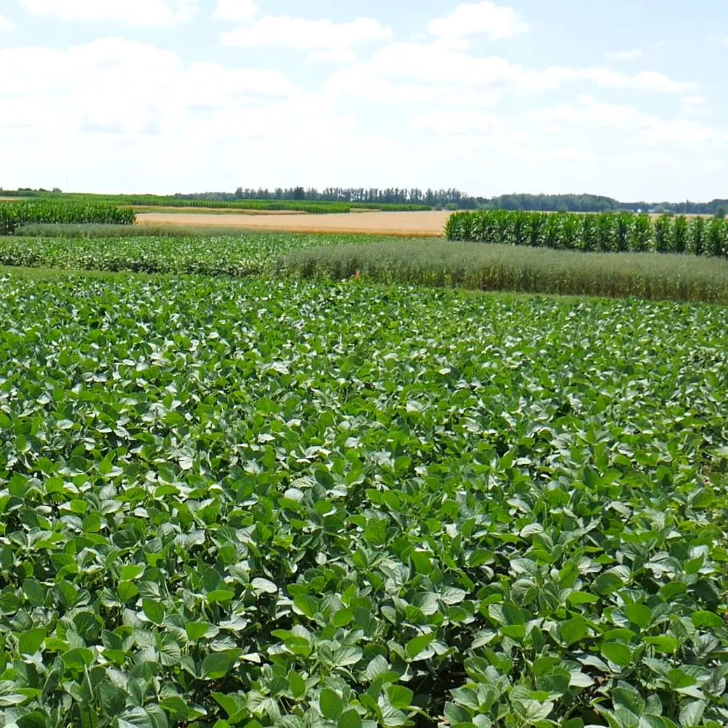 Penalty of poor rotation | WEBINAR