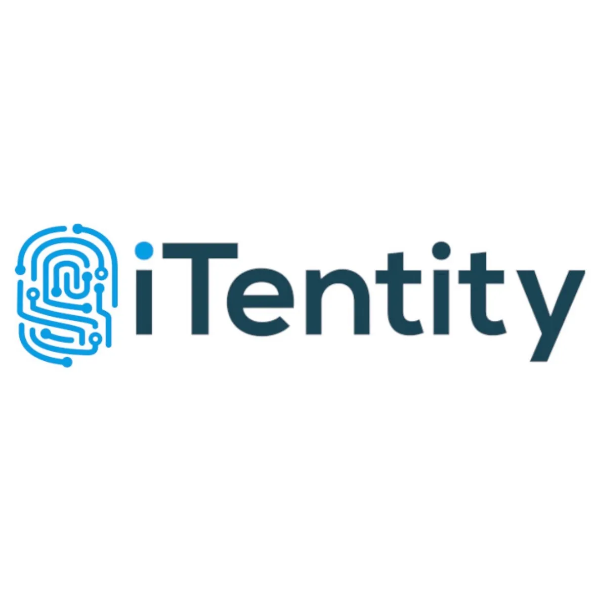 Developer (m/w/d)