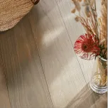 True Colours Edition by Gesa Hansen