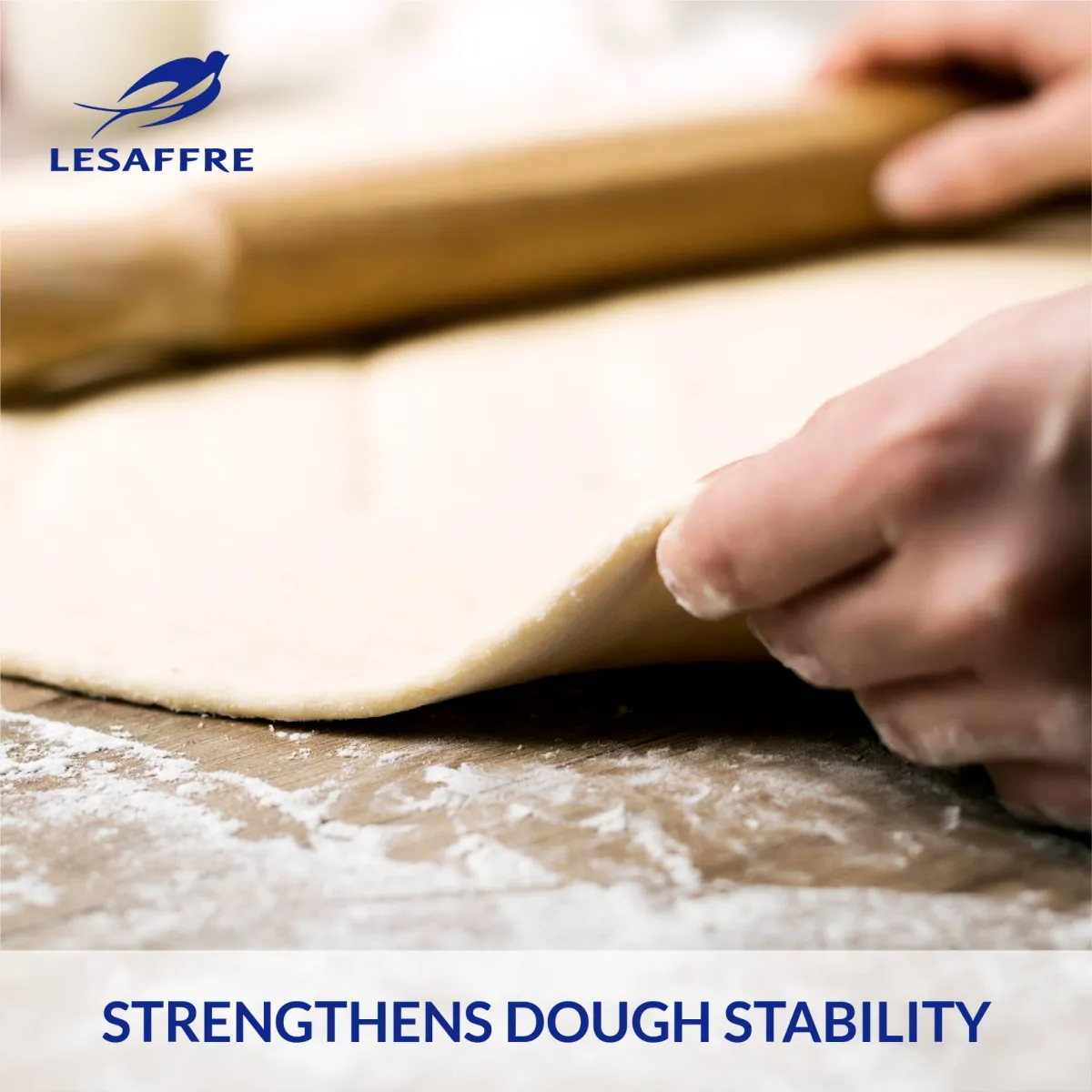 Baker's Bonus® RS190 | Yeast & Baking Solutions