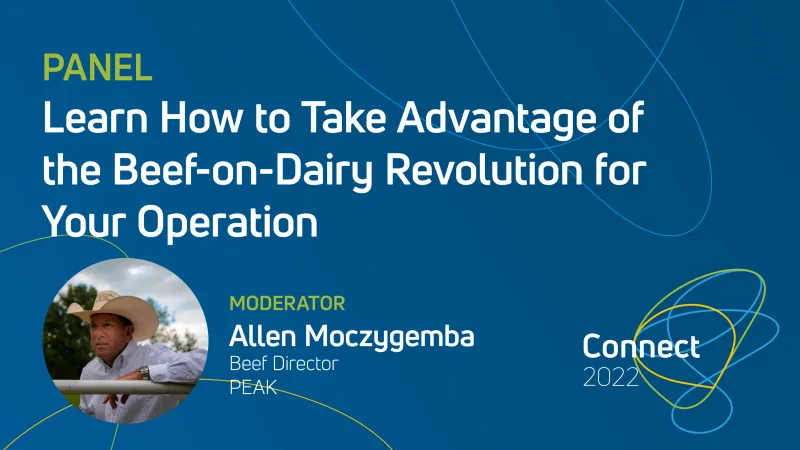Panel – Learn How to Take Advantage of the Beef-on-Dairy Revolution for Your Operation