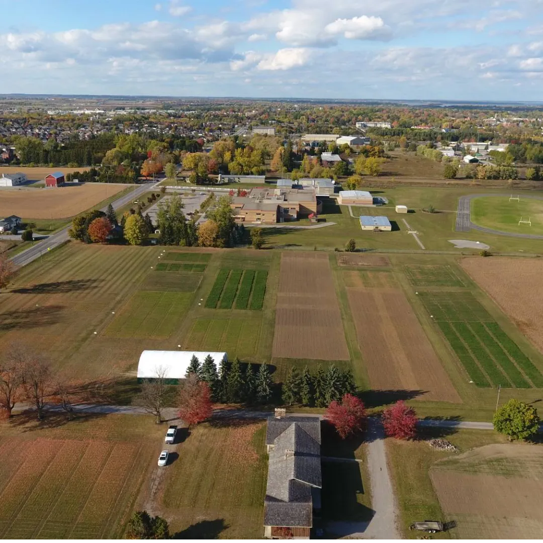 DLF Pickseed Research Program