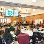 Undergraduate Programs