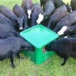 Jug Waterers and Mineral Feeders get a quote and enter coupon code AG2020 for $40 off during the show