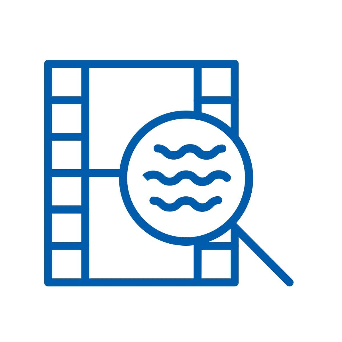 Verimatrix Watermarking