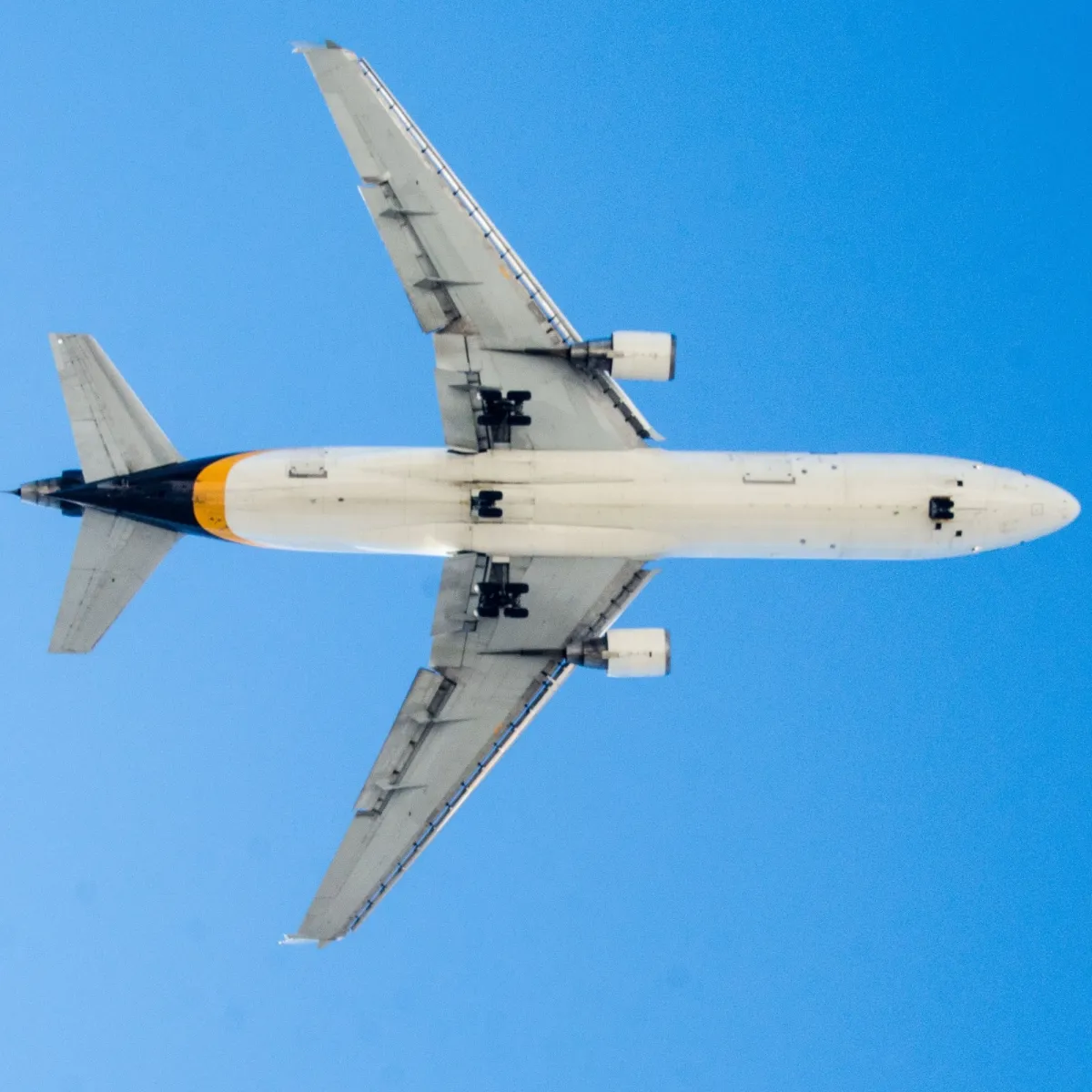 UPS Cold Chain Freight Forwarding Capabilities