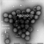 QuTEM - Adenoviral vector analysis