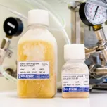 Antibody Depleted Human Serum and Plasma