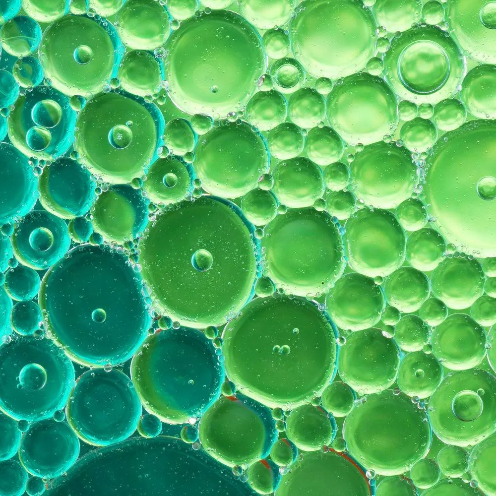 Drug Development CRO