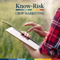 Know-Risk Crop Marketing Advisory & Software