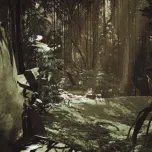 Inside Tumucumaque - a virtual reality installation