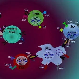 Immune status monitoring packages