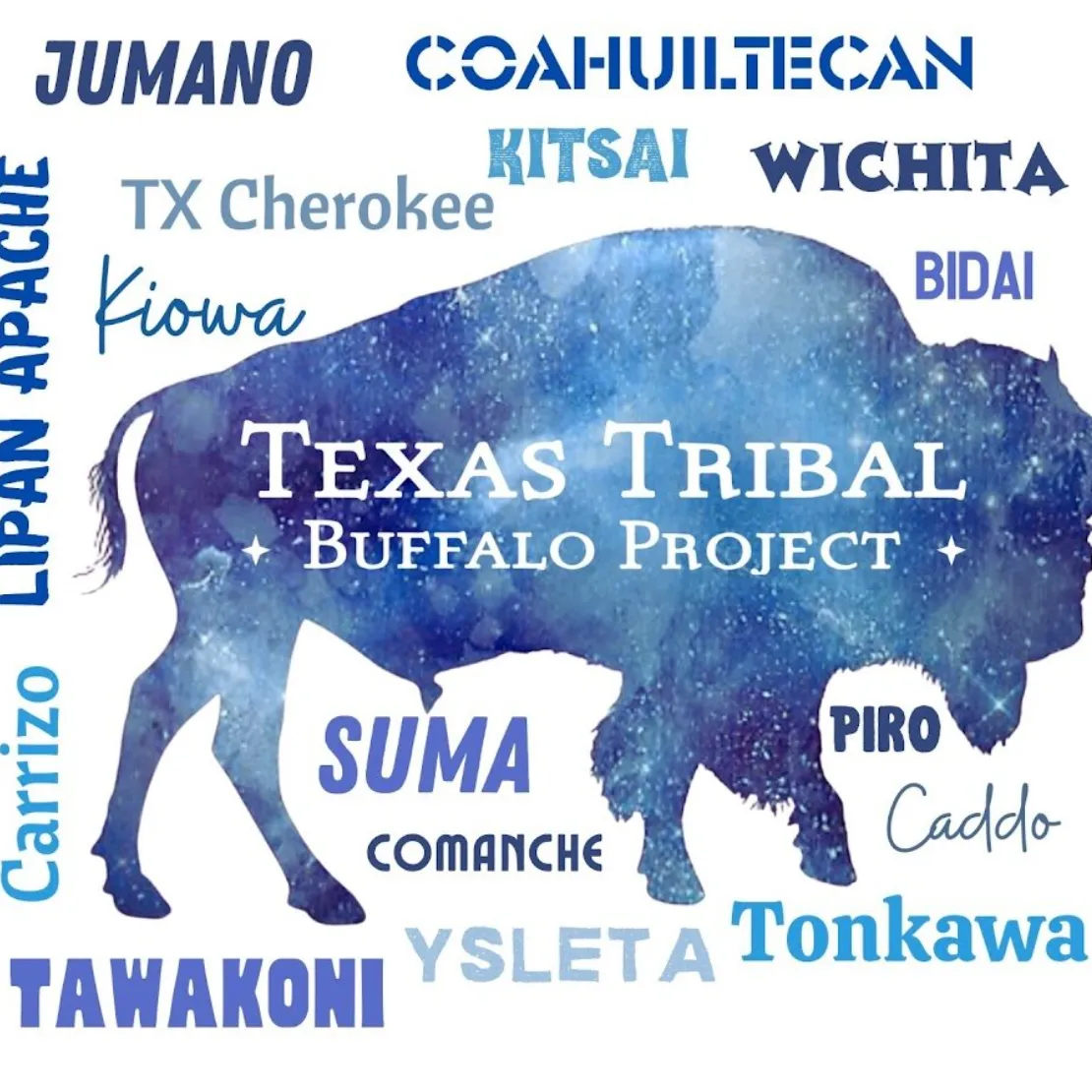 Texas Tribal Buffalo Project