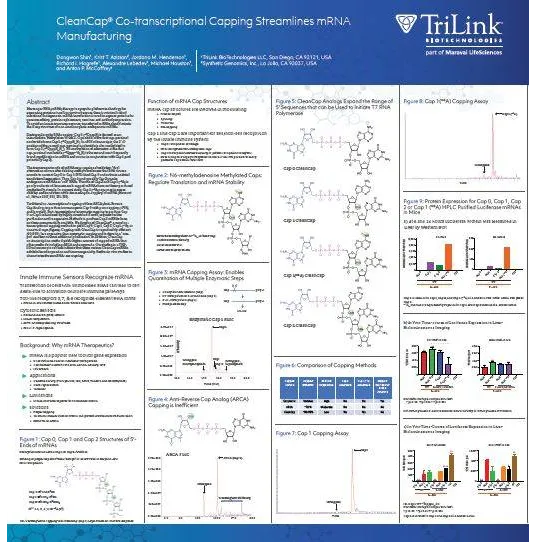 CleanCap® Co-transcriptional Capping Streamlines mRNA Manufacturing