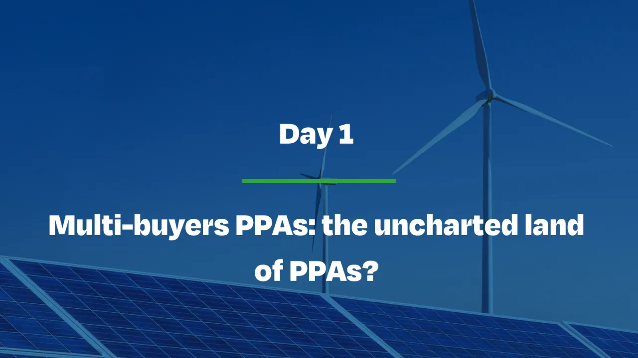 Multi-buyers PPAs: the uncharted land of PPAs?