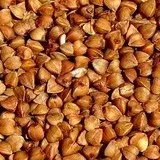 la valorisation de nos ingrédients issus de co-produits (upcycling)