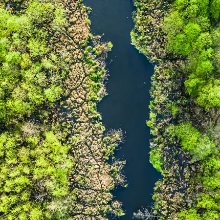 Sustainability is the new normal