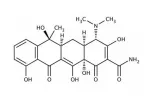 TETRACYCLINE