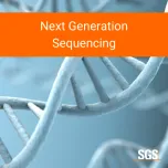 Biosafety Testing Services For Biopharmaceuticals