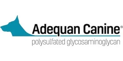 American Regent Animal Health