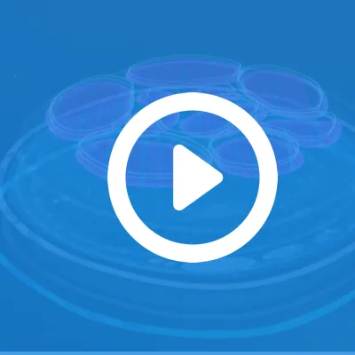 Intezer Analyze Demo