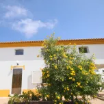 Maison de 5 chambres avec une architecture moderne et détails traditionnels à Algoz