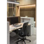 Plieno Fortas office, Lithuania