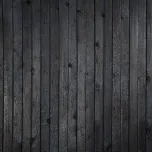 Woodblacker - carbonized wood