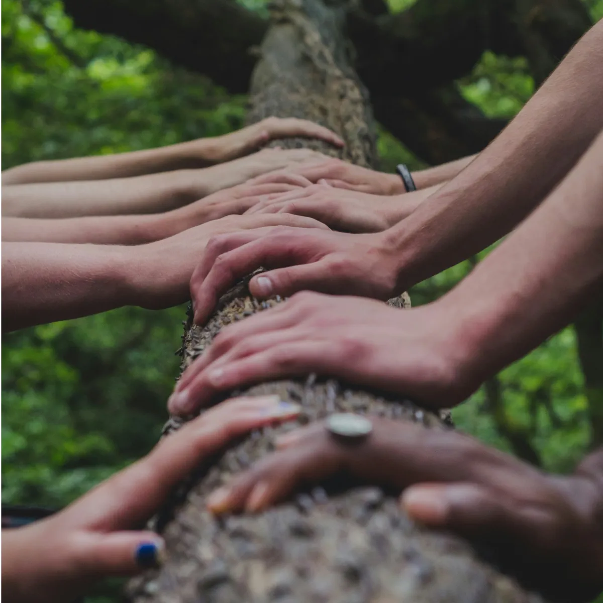 Healthier Together: A Pathway to a Better World - Slowing the Spread of Dengue Fever