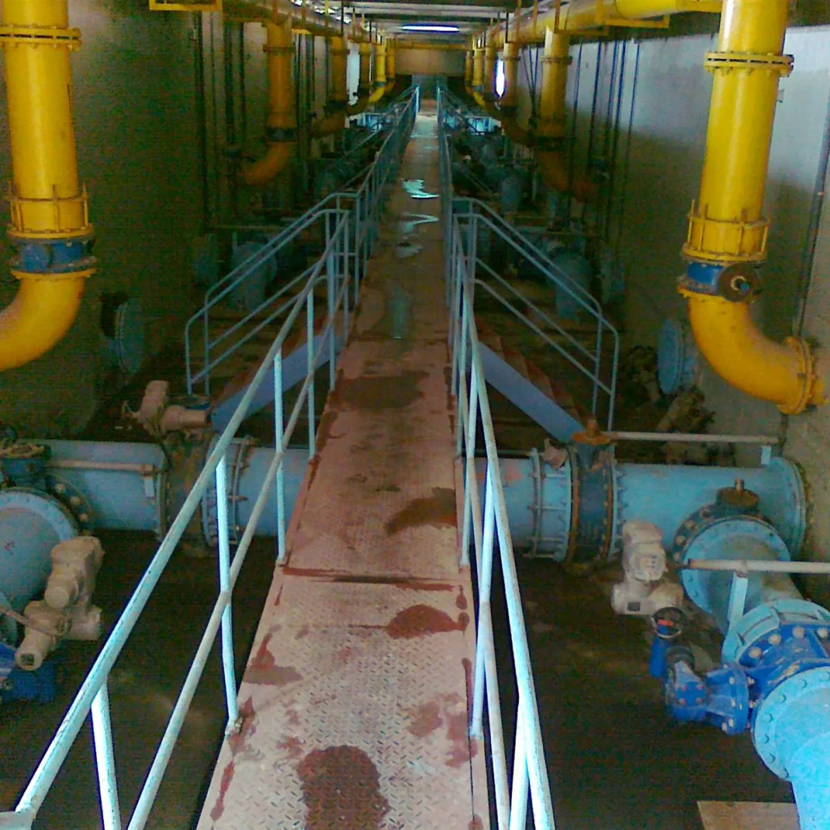 Toskha projects - Egypt