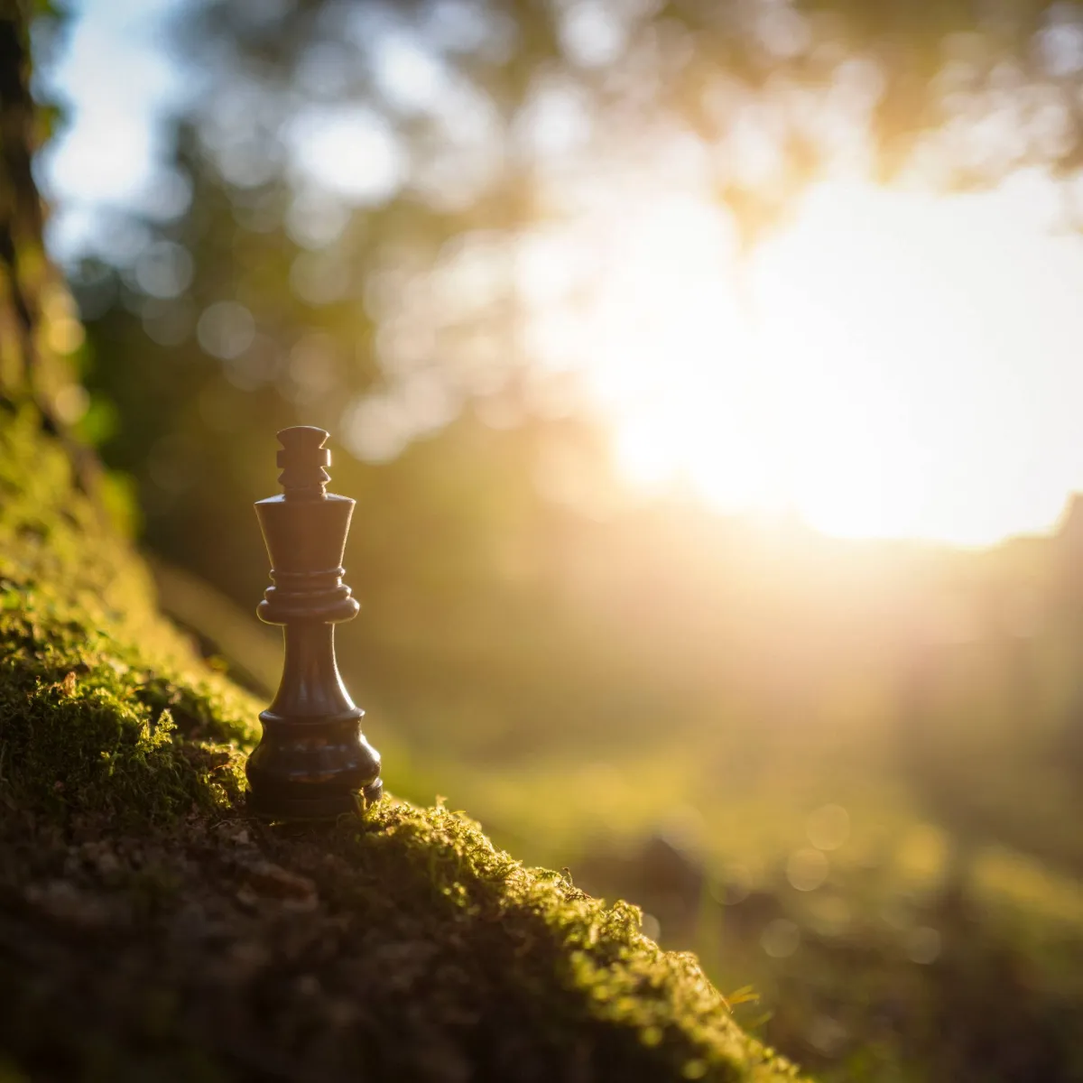 European Climate Impact Strategy