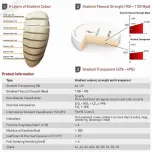 Twinovation Tezircon Zirconia Disc