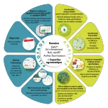 Le service metIS : une météo Intelligente et Spatialisée