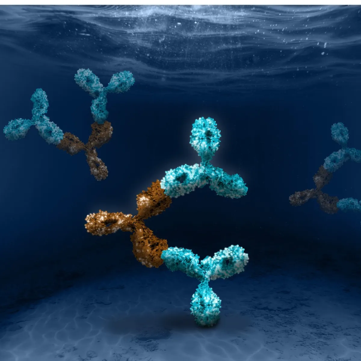 Catalog Anti-Idiotypic Antibodies