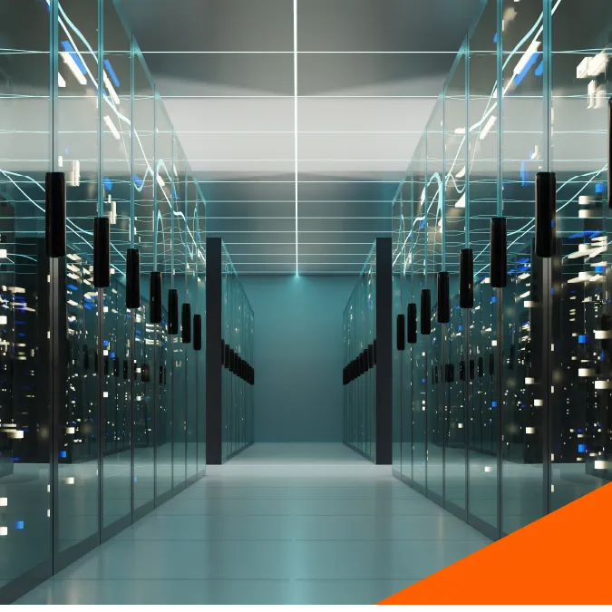 Asset Tracing & Enforcement