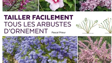 Dédicace de Pascal Prieur. "Tailler facilement tous les arbustes d'ornement" Ulmer