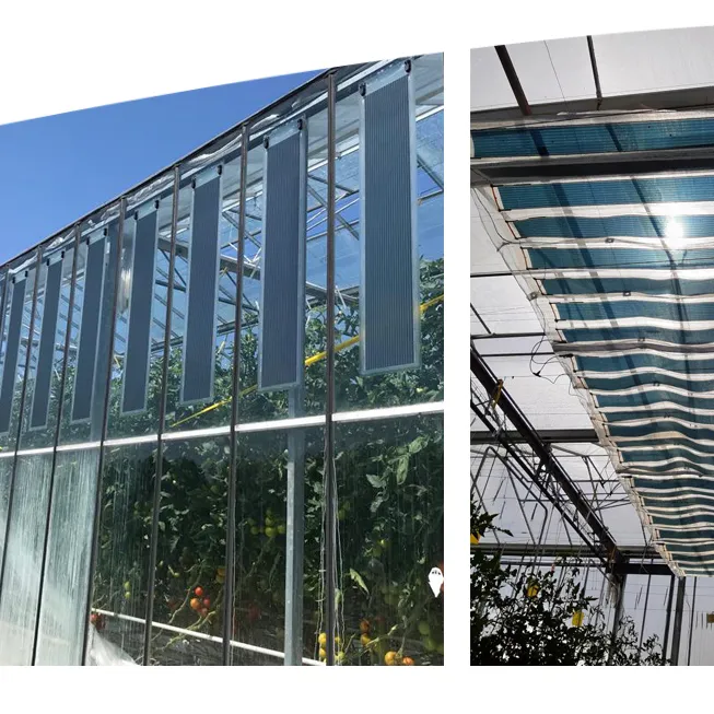 Greenhouses fitted with the ASCA® organic photovoltaic film