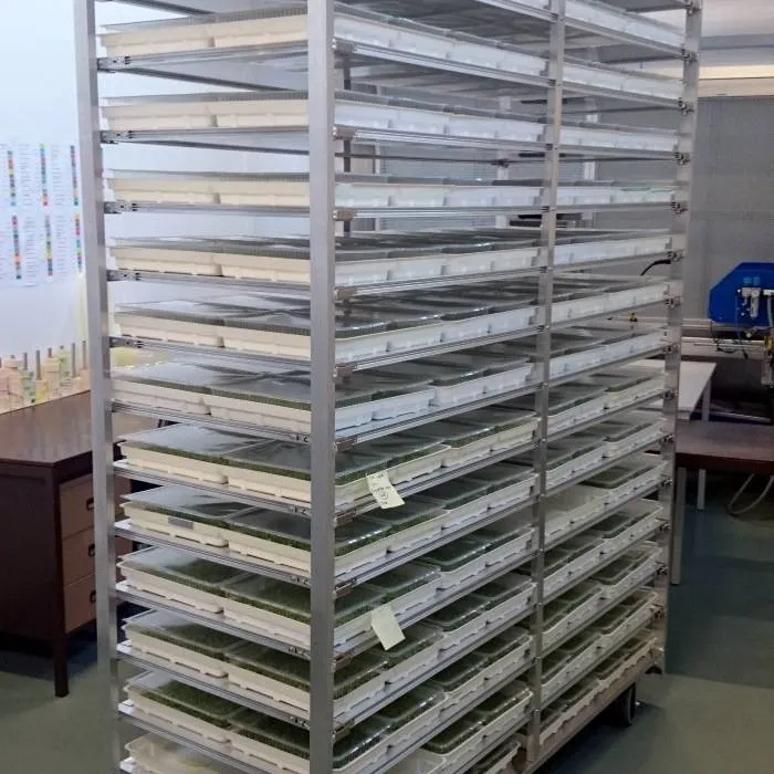 Bever Innovations Leaf Carrier