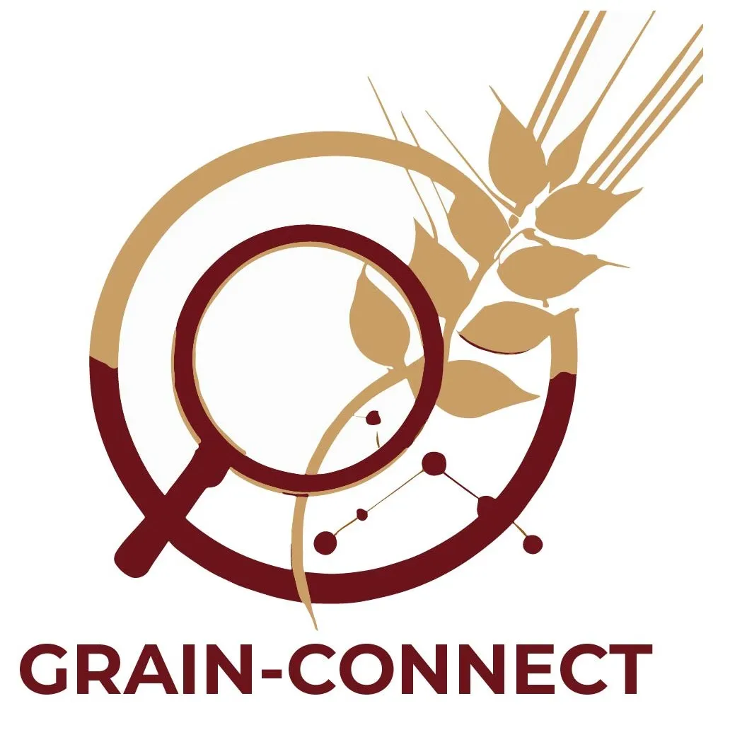 Grain-Connect