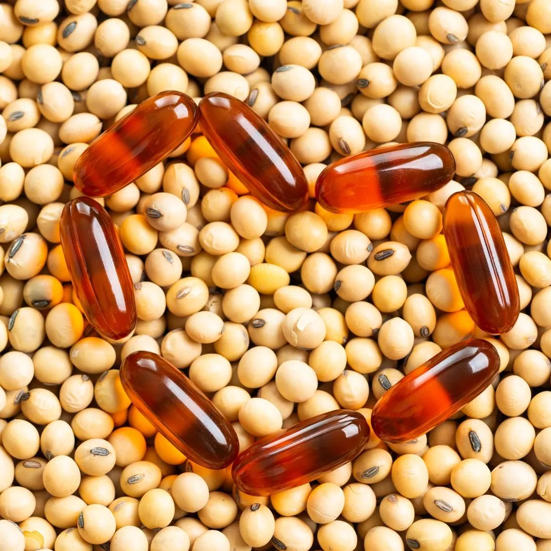 Emulsifier & Lecithin