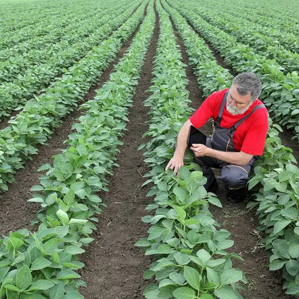 Solutions en assurance spécialisées