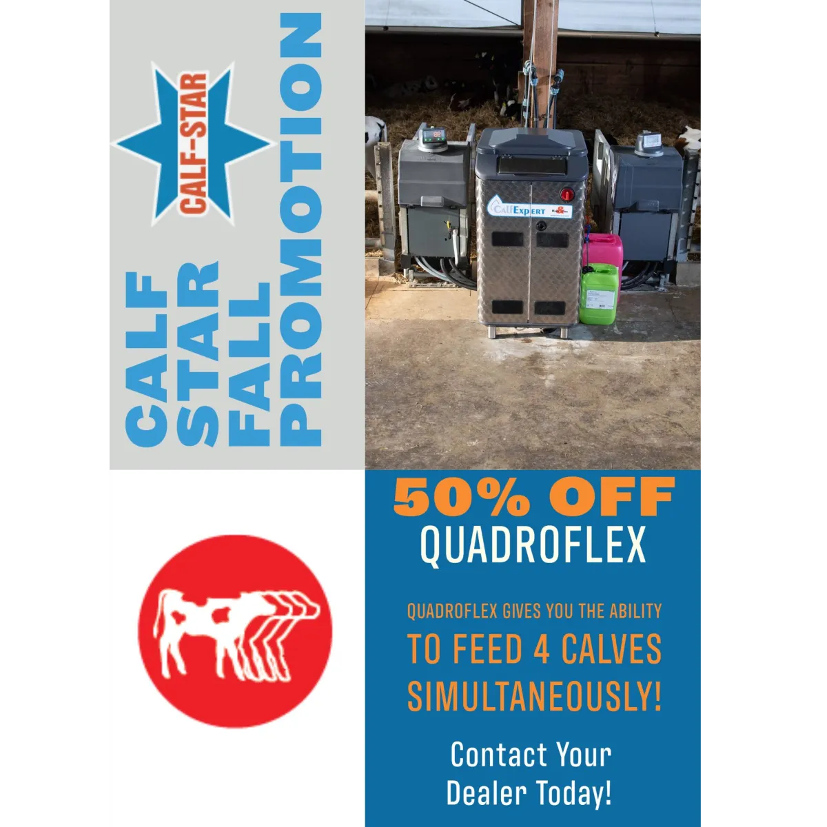 Calf Star Fall Promotion