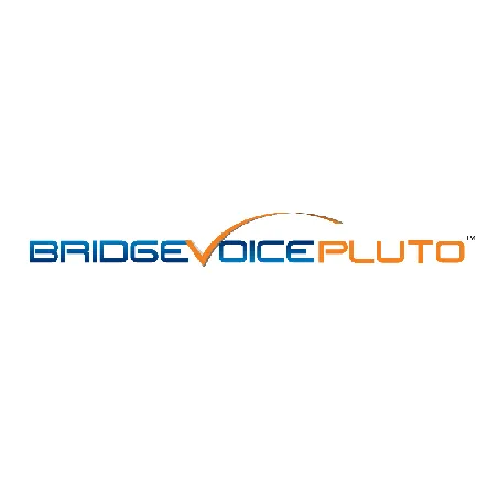 BridgeVoice Pluto