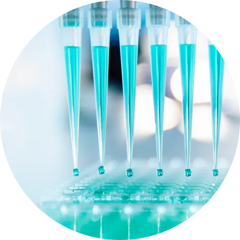 Microbiome Profiling Services